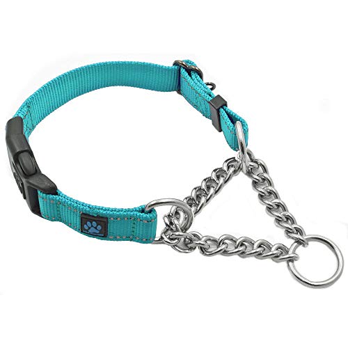 Max and Neo Stainless Steel Chain Martingale Collar - We Donate to a Dog Rescue for Every Collar Sold (Medium, Teal) - color: TEAL, size: Medium