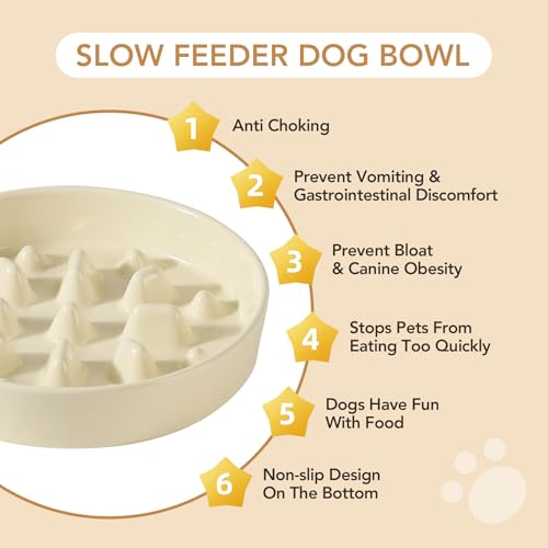 Havniva 8.2” Raised Slow Feeder Dog Bowls Set, 1.6 Cups Ceramic Slow Feeder Dog Bowl and 7.3” Dog Water Bowl with Elevated Wooden Stand Puzzle Dog Food Bowl for Medium Dogs Anti-Gulping & Anti-Choking - color: 2 x Light Yellow+Stand-C, size: 8.2inch