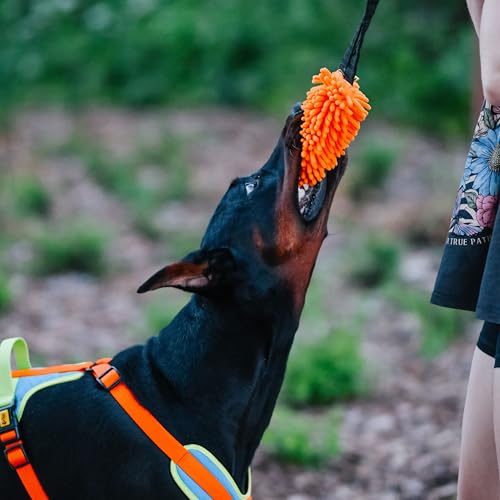 Dingo Dog Tug Toy with Bungee Handle, Microfiber, Orange - color: Orange