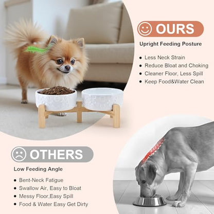 SPUNKYJUNKY Elevated Dog Bowls Ceramic, 5.1'' Dogs and Cat Food Water Bowls Raised with Non-Slip Bamboo Stand for Puppy Small Sized Breed Microwave Dishwasher Safe - 13.5 OZ,Skull White - color: White - Skull, size: 5.1 in - 1.7 cups