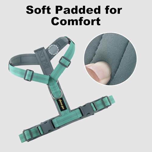 Plutus Pet No Pull Dog Harness, Adjustable Nylon Harness with Soft Padding, Reflective and Heavy Duty Dog Harness for Small, Medium, Large Dogs(Teal, M) - color: Teal, size: M