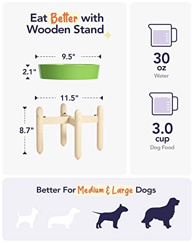 LE TAUCI Ceramic Slow Feeder Dog Bowls Elevated, 3 Cup Raised Bowl with Wooden Stand for Medium Large Breed, Slow Down Eating, Puzzle Dog Food Bowl, Clover Green - color: Clover Green+Stand, size: L-3 Cups
