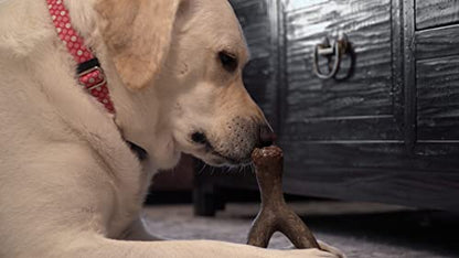 Hero - Bonetics Wishbone - Dog Bones - Puppy Bones - Designed for Medium Dogs Up to 45 lbs (Bacon Flavor)