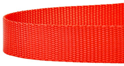 Country Brook Petz - Vibrant 17 Color Selection - Heavyduty Doublehandle Nylon Leash (6 Foot, 3/4 Inch Wide, Neon Orange) - color: Neon Orange