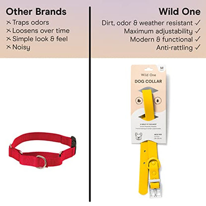 Wild One Dog Collar, Easy-Clean, All Weather Flex-Poly Strap with Metal, Durable, Dirt and Odor Resistant (Butter, M) - color: Butter, size: M