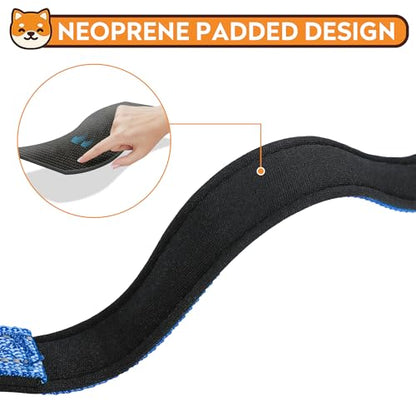 Reflective Dog Collar, Adjustable Soft Neoprene Padded Nylon Pet Collars with Buckle for Puppy and Small Dogs, Cats, Navy Blue,XS - color: Navy Blue, size: X-Small