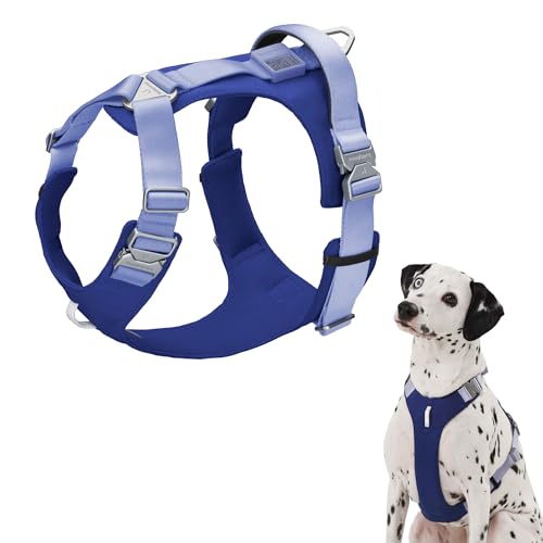 Dog Harness Heavy Duty No Pull Dog Harness with Handle, QR Code Anti-Loss Alloy Buckle Adjustable Nylon Dog Vest Control Harness for Medium Large Dogs Walking Training (Blurple, L) - color: Blurple, size: L