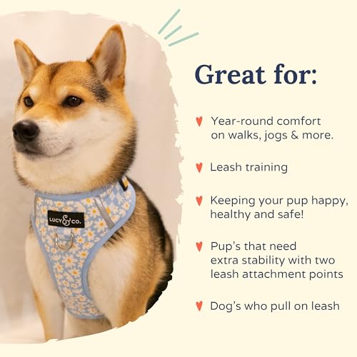 Lucy & Co. The Simply Splendid No-Pull Dog Harness - Size X-Large - Vest to Stop Pulling & Walk Easy - Comfortable Leash Training Product w/Adjustable Chest & Neck Straps - color: The Simply Splendid No-Pull Harness, size: X-Large