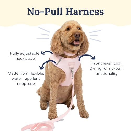 Lucy & Co. The Rosewater No-Pull Dog Harness - Size X-Large - Vest to Stop Pulling & Walk Easy - Comfortable Leash Training Product w/Adjustable Chest & Neck Straps - color: The Rosewater No-Pull Harness, size: X-Large