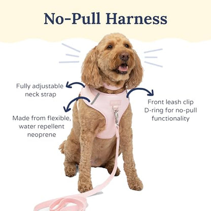 Lucy & Co. The Rosewater No-Pull Dog Harness - Size X-Large - Vest to Stop Pulling & Walk Easy - Comfortable Leash Training Product w/Adjustable Chest & Neck Straps - color: The Rosewater No-Pull Harness, size: X-Large