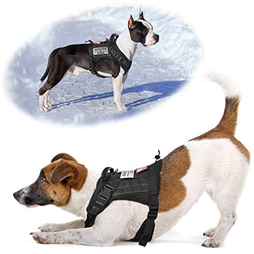 Tactical Service Dog Vest Harness for Medium Large Dog, Military K9 Training Dog Vest with Molle and Loop Panels Adjustable Tactical Harnesses with Handle (M, Black) - color: Black, size: Medium (Pack of 1)