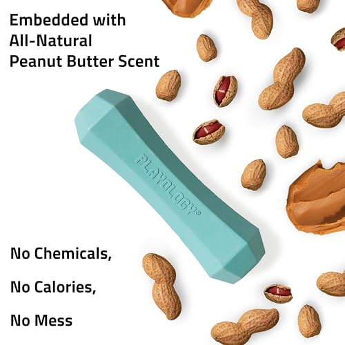 Playology Dog Toys | Squeaky Chew Stick for Large Dogs | Peanut Butter Scented Jumbo Fetch Toy | Squeaky Dog Chew Toy - size: Jumbo, style: Peanut Butter
