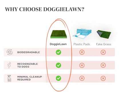 DoggieLawn Real Grass Puppy Pee Pads- 24 x 20 Inches - Perfect Indoor Litter Box for Dogs - No Mess, Easy-to-Use - Potty Training for Pets - Disposable Bathroom with Real Living Grass - size: Medium 24x20 inches