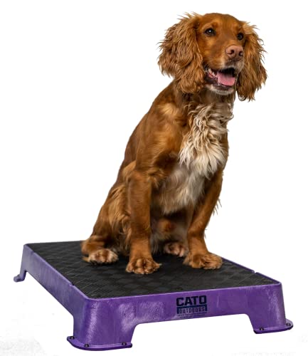Cato Board - Dog Training Platform (Purple, Rubber Surface) - color: Purple