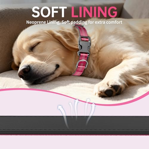 Reflective Dog Collar with Buckle, Heavy Duty Dog Collars with Soft Padded, Adjustable, Ultra-Durable, Pet Collar for Small Medium and Large Dogs (HOT Pink, S) - color: Hot Pink, size: S (12-18'')