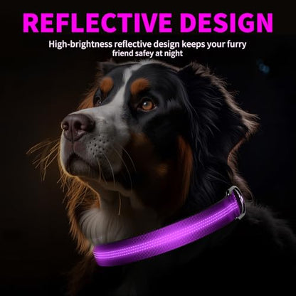 Reflective Dog Collar with Buckle, Heavy Duty Dog Collars with Soft Padded, Adjustable, Ultra-Durable, Pet Collar for Small Medium and Large Dogs (Purple, S) - color: Purple, size: S (12-18'')