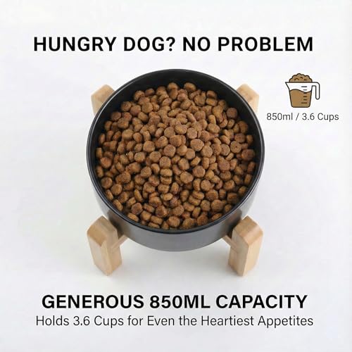 hjn Elevated Ceramic Dog Bowl/Raised Ceramic Dog Bowls with Bamboo Stand, 15°Slanted Raised Pet Feeder for Small Medium Dogs and Cats, Non-Slip Heavy Weighted Design (Black, 3.6Cup) - color: Black, size: 3.6Cup