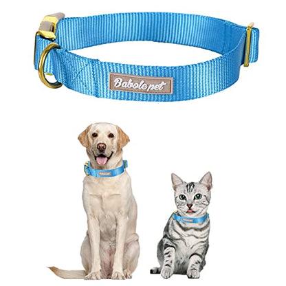 Nylon Dog Collar - Adjustable Blue Soft Webbing Dog Collars for Small Medium Large Dogs Boy Girl Puppy Collar with Safety Metal Buckle XS - color: Nylon-Blue, size: XS