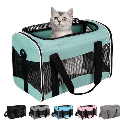 Small Animal Travel, Carrier for Hedgehog Rat Parrot Bird Guinea Pig, Lizards Carrier, Soft Sided Travel Carrier Portable Guinea Pig Up to 10 Lbs (15 * 10 * 10, Green) - color: green, size: 15.0"L x 10.0"W x 10.0"H