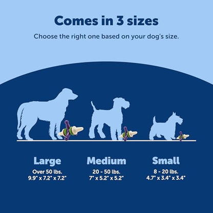 PetSafe Busy Buddy Jack - Treat Holding Dog Chew Toys - Helps Clean Teeth - Vanilla Scented Rubber for Strong Chewers - Treat Refills Included - Interactive Dog Toy Keeps Dogs Busy - Purple, Large - size: Large, style: Jack