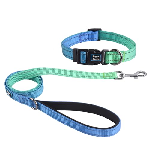 Roses&Poetry Bluegreen Small Dog Collar and Leash Set, Puppy Reflective Leashes with Collars, Adjustable Durable Matching Collar Leash for Small Dogs Girl (Bluegreen-S) - color: BlueGreen, size: S