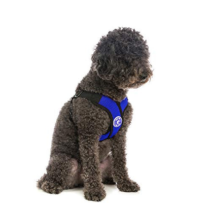 Gooby - Comfort X Step-in Harness, Choke Free Small Dog Harness with Micro Suede Trimming and Patented X Frame, Blue, Large - color: Blue, size: Large