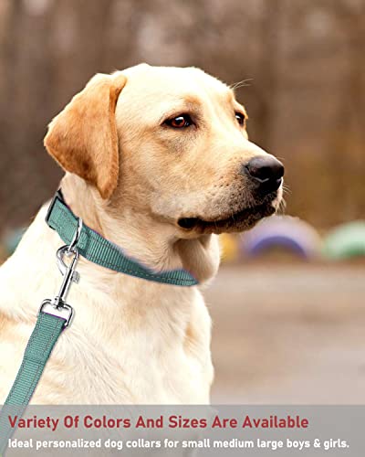 Reflective Dog Collar with Buckle Adjustable Safety Nylon Collars for Small Medium Large Dogs, Grey S - color: Grey, size: Small :Width 5/8",Neck 10-14"