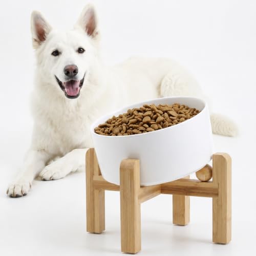 Petygooing White Elevated/Raised 15° Slanted Ceramic Dog Bowl for Large and Medium Breeds, Pet Anti Slip Feeding Bowl,Food Water Dish with Stand for Large and Medium Dogs (60 OZ / 7.6 Cup) - color: White, size: 7.6 CUPS - Medium Large Dog Bowls