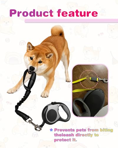 Elastic Bungee Dog Leash Extender, Shock Absorbing, Reflective, 360° Swivel Clip, for Running, Walking, Cycling, 2 Pack