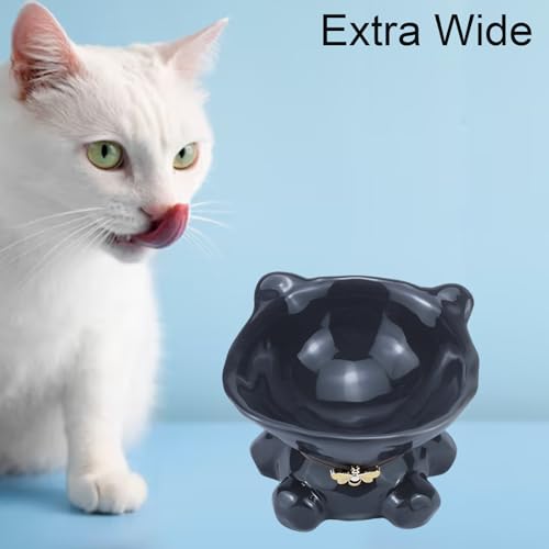 5.4 Inch Wide 15° Raised Kitten Supplies Cat Bowl Elevated Cat Bowls Whisker Friendly Cute Ceramic Tilted Food Bowls for Indoor Cats Dishwasher and Microwave Safe Gray Cats Water Bowl - color: Grey Ceramic Cat Water Bowl