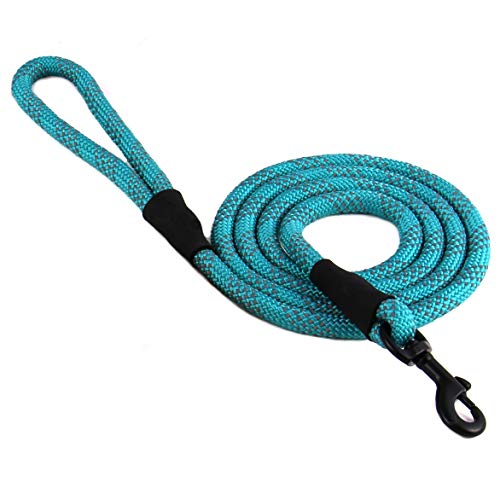 Max and Neo Rope Leash - Reflective, 6 FT x 1/2" - Teal - color: TEAL