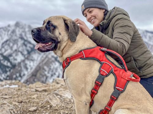 Tuff Pupper Escape Proof No Escape Dog Harness | 5 Point Adjustable Fit Harness for Dogs | Padded Dog Harnesses | Handle Dog Lift Harnesses - color: March Red, size: X-Large: 32-40 Inch Chest