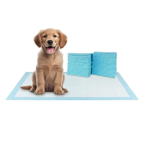 BV XXL Puppy Pads 40 Count 36" x 30" - Leak-Proof Pee Pads for Dogs with 6-Layer Design, Rapid Dry Sheet & Attractant - Dog Pad Extra Large with Odor Control - Perfect for Big Dogs & Indoor Use - size: XXL / 40-Count (Standard)