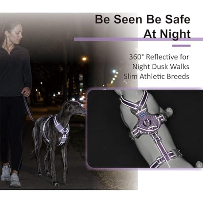 ThinkPet Flexfit 3-Strap Escape Proof Dog Harness, No Pull Front Clip 2-in-1 Vest with Control Handle, 360° Reflective Breathable Adjustable Harness for Greyhound Whippet Vizsla, Small, Purple - color: Purple, size: Small