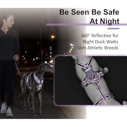 ThinkPet Flexfit 3-Strap Escape Proof Dog Harness, No Pull Front Clip 2-in-1 Vest with Control Handle, 360° Reflective Breathable Adjustable Harness for Greyhound Whippet Vizsla, Medium, Purple - color: Purple, size: Medium