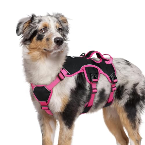 rabbitgoo Escape Proof Dog Harness Medium, Soft Padded Full Body Pet Harness, Reflective Adjustable No Pull Vest with Lift Handle and Leash Clip for Walking Hiking Training, Pink & Black, M - color: Pink & Black, size: Medium (Pack of 1)