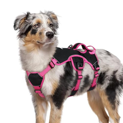 rabbitgoo Escape Proof Dog Harness Medium, Soft Padded Full Body Pet Harness, Reflective Adjustable No Pull Vest with Lift Handle and Leash Clip for Walking Hiking Training, Pink & Black, M - color: Pink & Black, size: Medium (Pack of 1)