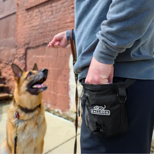 Callieco Mini Dog Treat Pouch with Magnetic & Zipper Closure | Small Waist Belt Training Behavior Aid Bag for Dog Walking with Poop Bag Dispenser (Black) - color: Black