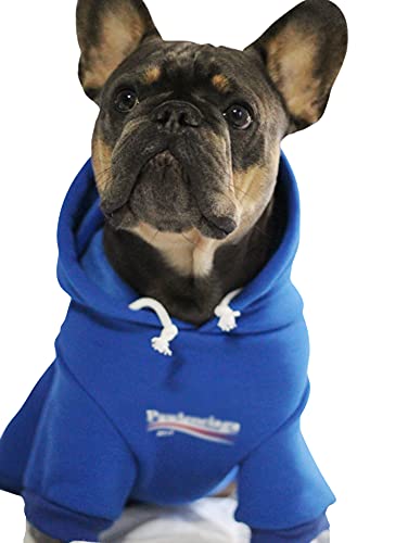 ChoChoCho Stylish Streetwear Blue Dog Sweatshirt Tracksuits, Cats Hoodies, Dog Outfit for Cat Puppy Small Medium (5XL) - color: Pawlenciaga, size: 5XL (Chest: 32.3''-36.6'' / Suggest: 89-139 lbs)