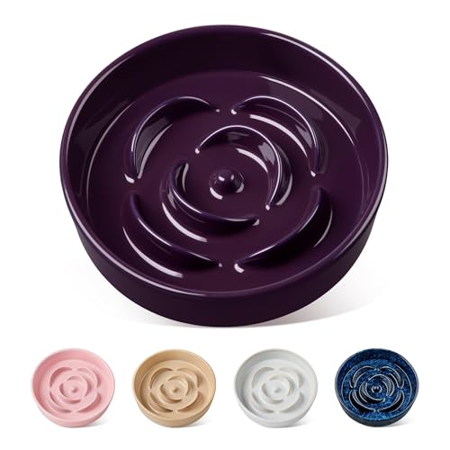 vancasso Slow Feeder Dog Bowl, 0.6 Cups Ceramic Dog Food Dish for Fast Eaters Small Breed, Puzzle Bowl for Small Dogs and Cats, Dark Purple - color: Dark Purple, size: S - 0.6 Cups