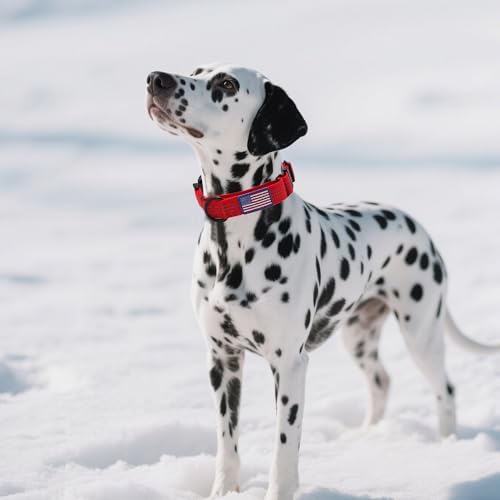 Martingale Dog Collar Quick Release Buckle No Pull Reflective Non-Slip for Medium Large Dogs Training (Red, Large) - color: Red, size: Large (Pack of 1)