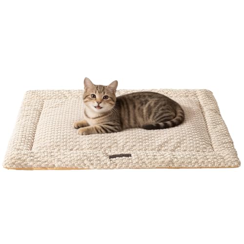 SOMAHE Cat Beds Flat Cat Bed Mat, Premium Plush Cat Mat with Non-Slip Bottom, 1.2" Thick All-Season Kneading Cushion, Machine Washable Anti-Static Pet Bed 15×23Inch, Milk - color: Milk, size: 23"L x 15"W x 1.2"Th