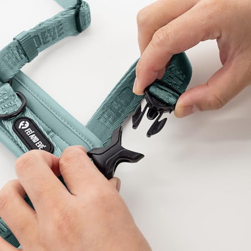 Fei & Eve Moxie Dog Harness for Small & Medium Dogs, Glacier Green, XS | Lightweight Design, 3-Point No-Pull Control, Quick Release Metal Buckle - color: Glacier Green, size: XS