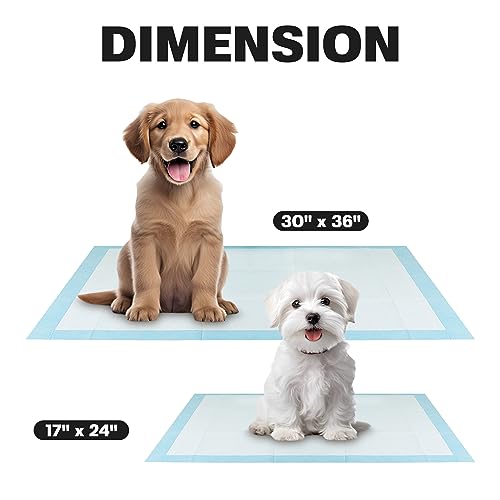 BV Small Puppy Pads 100 Count 17"x24" - Leak-Proof & Absorbent Pee Pads For Dogs with 6-Layer Design, Rapid Dry Sheet & Built-In Attractant - Dog Pad with Odor Control, Perfect for Puppies&Senior Dogs - size: Small / 100-Count (Standard)