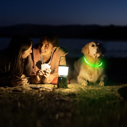 HIGO Light Up Dog Collars, USB Rechargeable LED Dog Collar, TPU Cuttable Dog Glow Collar, High Visibility Puppy Collar Safety Dog Lights for Night Walking(Green) - color: Green