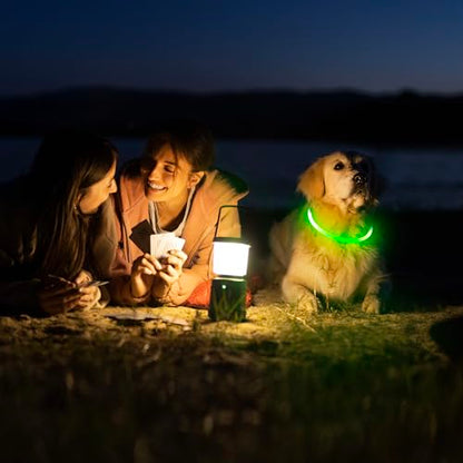 HIGO Light Up Dog Collars, USB Rechargeable LED Dog Collar, TPU Cuttable Dog Glow Collar, High Visibility Puppy Collar Safety Dog Lights for Night Walking(Green) - color: Green