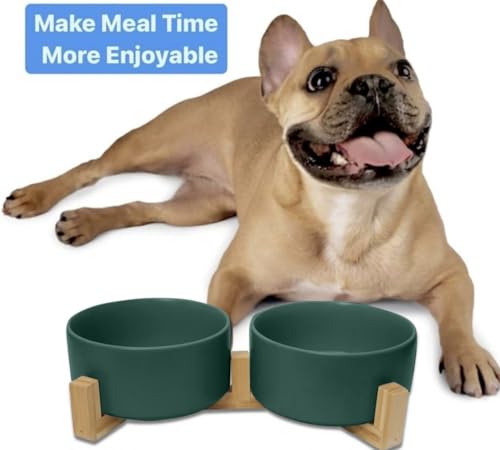 Ceramic Cat and Small Dog Bowl Set – Modern Indoor Small Size Pet Food and Water Bowls with Wood Stand – Non Slip Puppy Sized Feeding Station with Double Dishes (Green) - color: Green