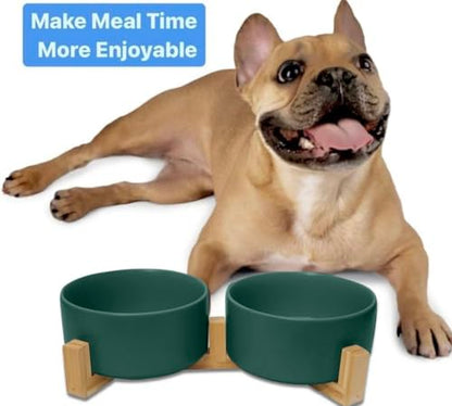 Ceramic Cat and Small Dog Bowl Set – Modern Indoor Small Size Pet Food and Water Bowls with Wood Stand – Non Slip Puppy Sized Feeding Station with Double Dishes (Green) - color: Green