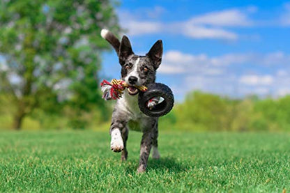 Mammoth TireBiter2 Tug & Toss For Strong Chewers Large Dogs Up To 90-Pounds - size: Large 6", style: Tire with Cotton-Poly Rope