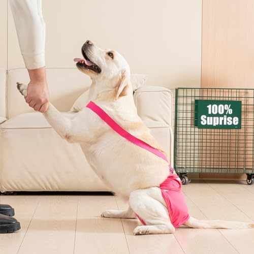 3 Pack Avont Washable Female Dog Diaper with Suspender, Reusable Girl Doggie Diapers for Small Medium Large Doggy in Heat Cycle Period Incontinence -M - color: Black/Pink/Purple, size: M